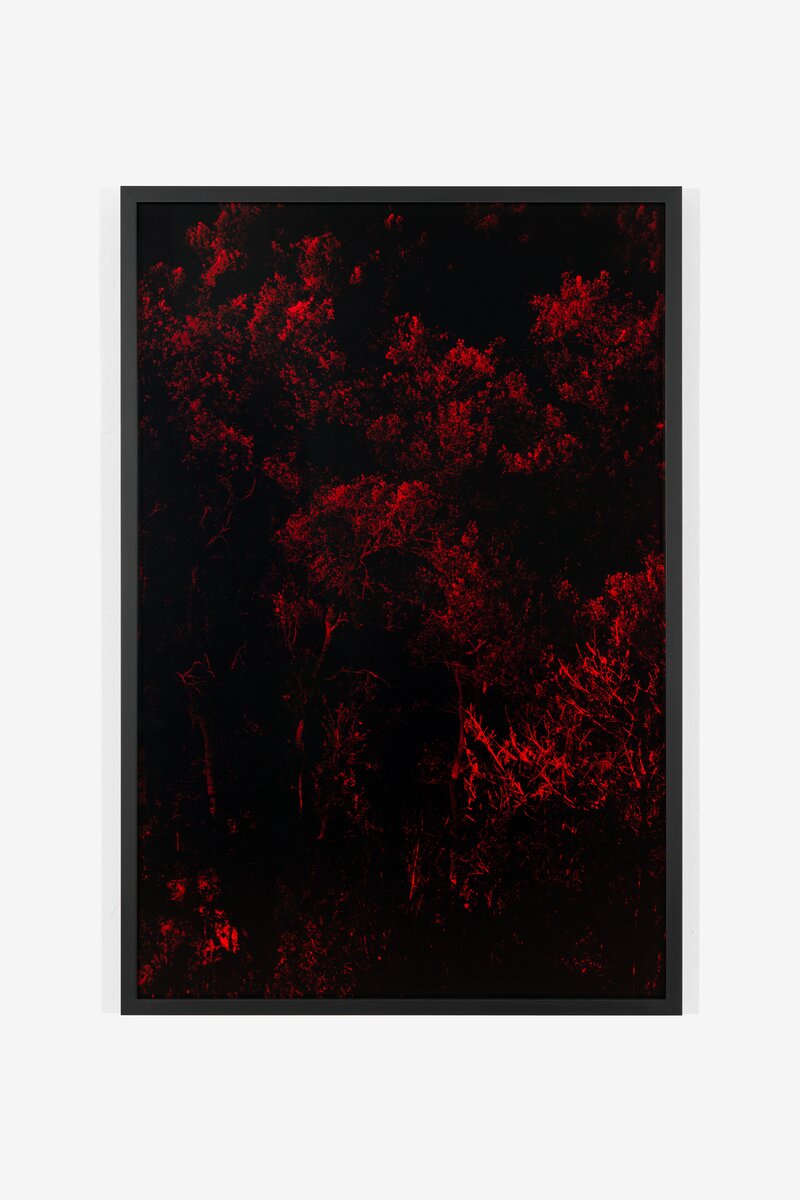 Rui Wu
*Raggi rossi*
2024
Inkjet print
129 x 87 cm
Edition of 3 + 1 AP
