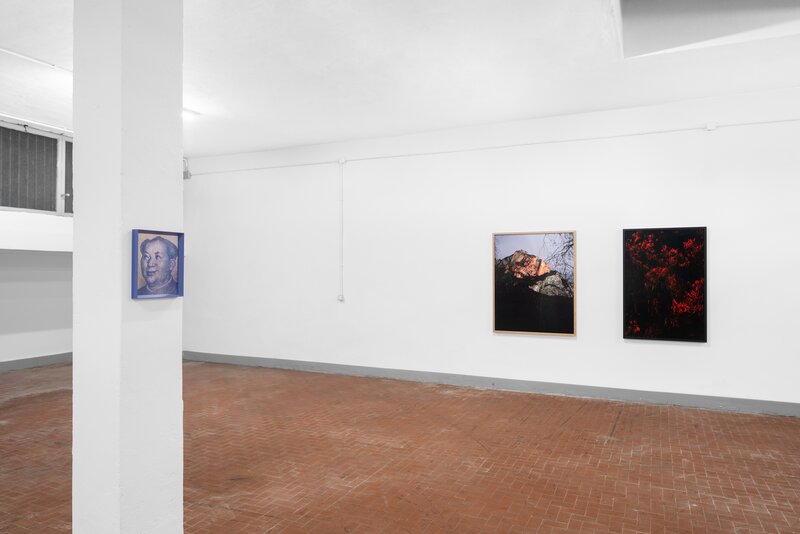 Installation view, *Bamboo Dragonfly,* 2024, Velo Project, Milan