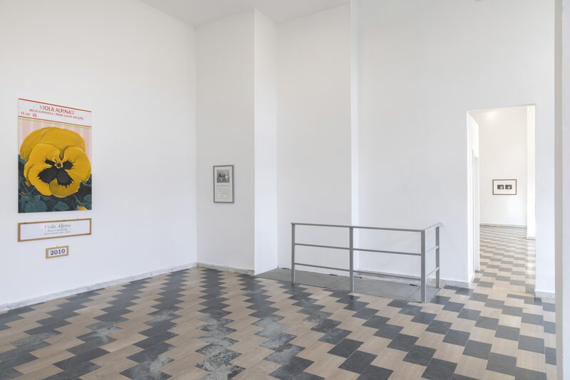 Installation view, *Flemishness*, 2025, CFA and Velo Project, Milan